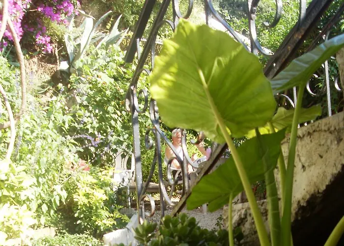 Le Panoramic Boutique Niza