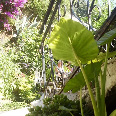 Le Panoramic Boutique Ницца